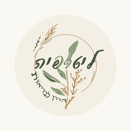 שימוש נכון בלוגו